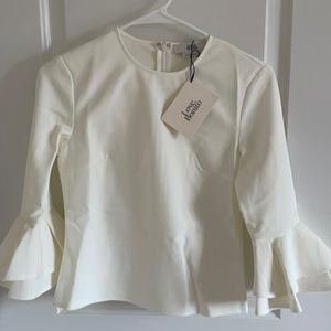 Ruffled sleeves blouse